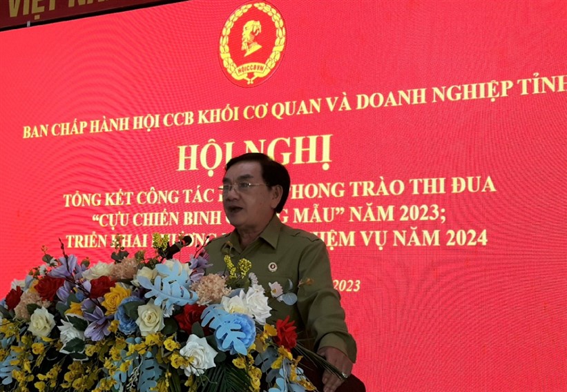Đồng chí Trịnh Ngọc Minh - Phó Chủ tịch thường trực Hội CCB tỉnh phát biểu chỉ đạo tại Hội nghị 